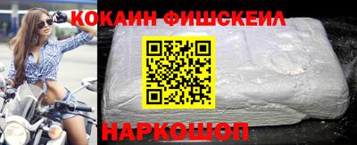 гашик Кингисепп