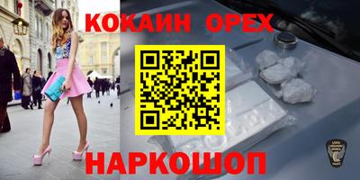 гашик Кингисепп