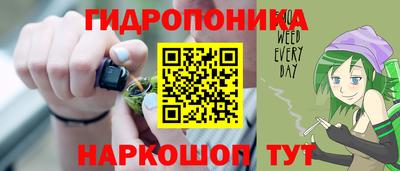 гашик Кингисепп