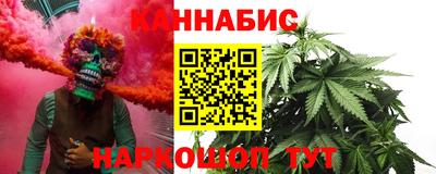 гашик Кингисепп