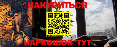 гашик Кингисепп