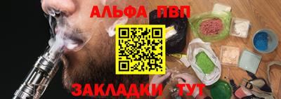 гашик Кингисепп