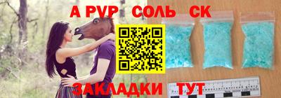 гашик Кингисепп
