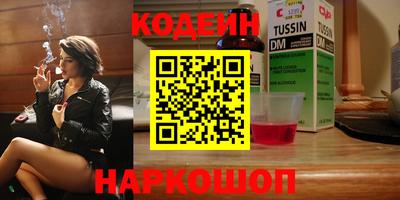 гашик Кингисепп