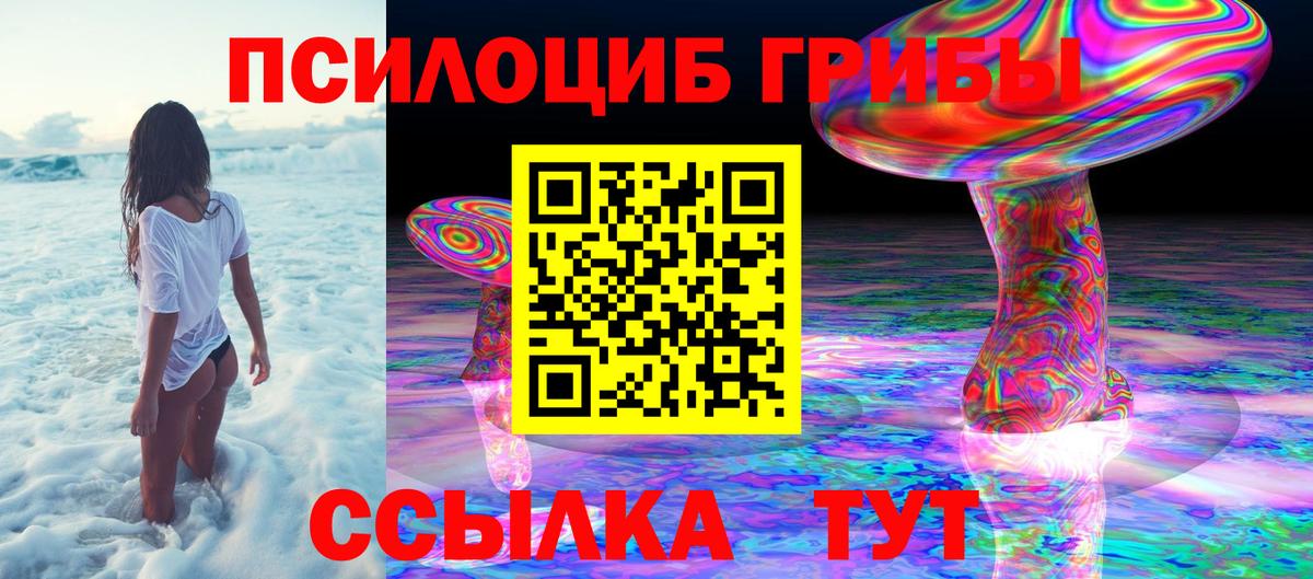Псилоцибиновые грибы Psilocybe  Псилоцибиновые грибы Psilocybe  Лиски  купить   Вход с VPN 
